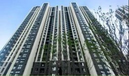 永威城最新爆料消息,揭秘神秘项目，未来城市新地标即将崛起